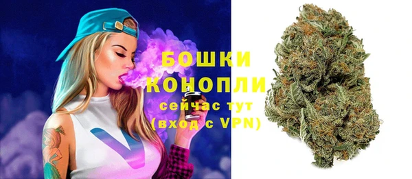 прущие грибы Осташков