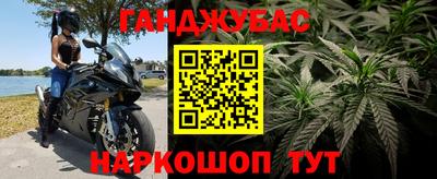 крисы Будённовск