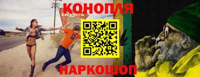 крисы Будённовск
