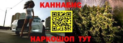 крисы Будённовск