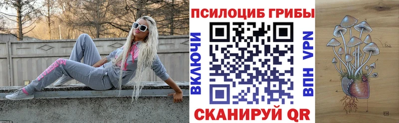 Галлюциногенные грибы Psilocybe  hydra онион  Ивантеевка 