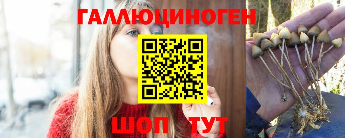 Галлюциногенные грибы мицелий Ивантеевка