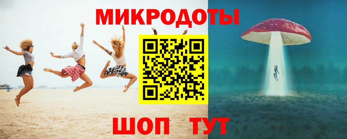 Галлюциногенные грибы Psilocybe  Ивантеевка  Галлюциногенные грибы прущие грибы 