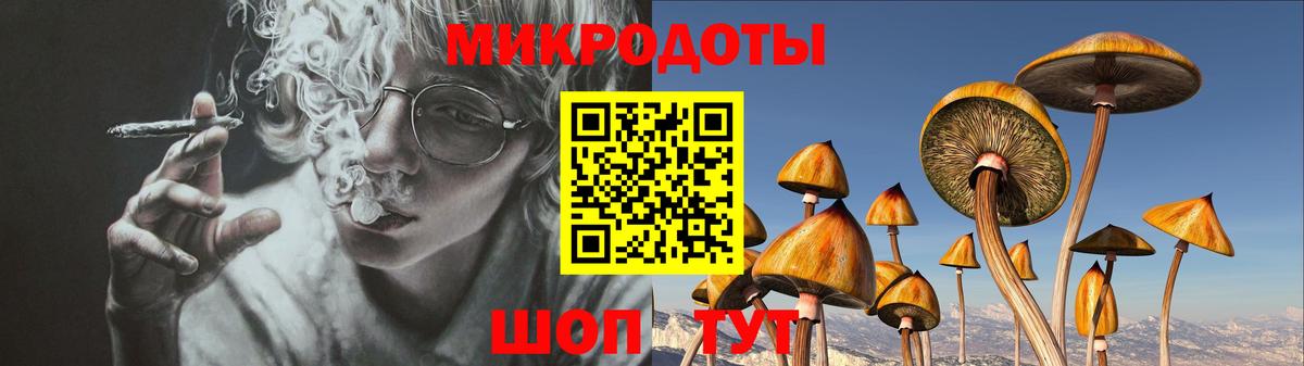 Ивантеевка  Псилоцибиновые грибы Psilocybe  Вход с VPN 